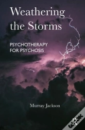 Capa do artigo Weathering The Storms