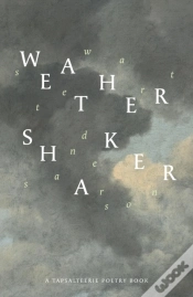 Capa do artigo Weathershaker
