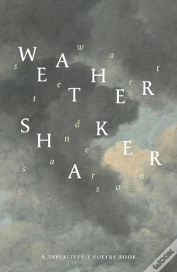 Capa do artigo Weathershaker