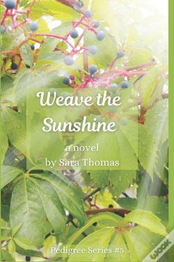 Capa do artigo Weave The Sunshine