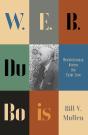 W.E.B. Du Bois - Preview