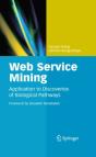 Web Service Mining - Preview