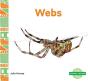 Webs - Preview