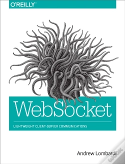 Capa do artigo Websocket