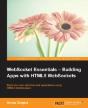 Websocket Essentials - Building Apps With Html5 Websockets - Preview