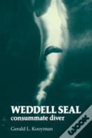 Weddell Seal