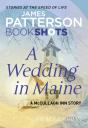 Wedding In Maine - Preview