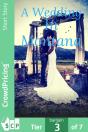 Wedding In Montana - Preview