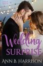 Wedding Surprise - Preview