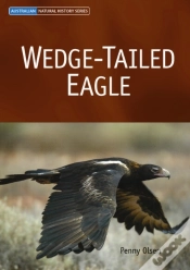 Capa do artigo Wedge-Tailed Eagle