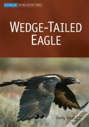 Capa do artigo Wedge-Tailed Eagle
