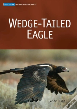Capa do artigo Wedge-Tailed Eagle