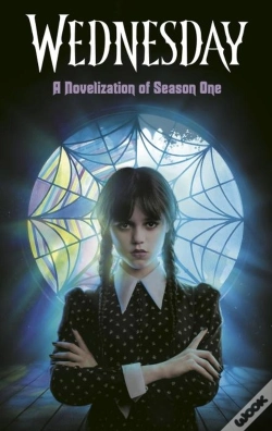 Capa do artigo Wednesday Ya Novel #1