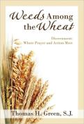 Weeds Among The Wheat - Discernment