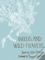 Capa do artigo Weeds And Wild Flowers