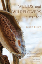 Weeds And Wildflowers In Winter - Preview