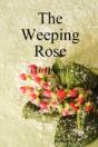 Weeping Rose - Preview