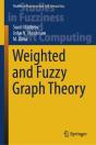 Weighted And Fuzzy Graph Theory - Preview