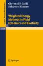 Weighted Energy Methods In Fluid Dynamics And Elasticity - Preview