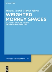 Capa do artigo Weighted Morrey Spaces