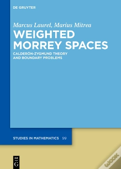 Capa do artigo Weighted Morrey Spaces