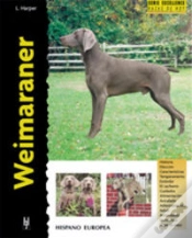 Capa do artigo Weimaraner