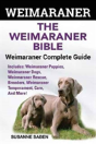 Weimaraner - Preview