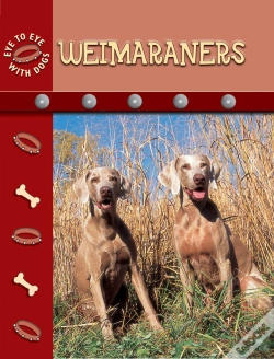 Capa do artigo Weimaraners