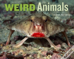 Capa do artigo Weird Animals