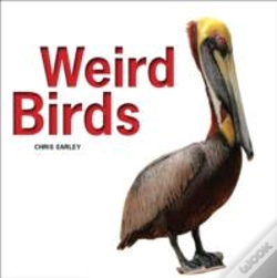 Capa do artigo Weird Birds
