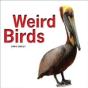 Weird Birds - Preview