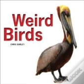 Weird Birds