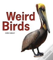 Capa do artigo Weird Birds