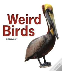 Capa do artigo Weird Birds