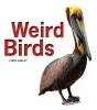 Weird Birds - Preview