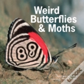 Weird Butterflies & Moths