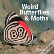 Capa do artigo Weird Butterflies & Moths
