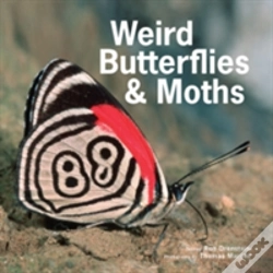 Capa do artigo Weird Butterflies & Moths