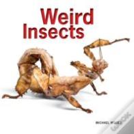 Weird Insects