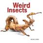 Weird Insects - Preview