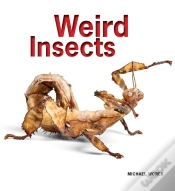 Capa do artigo Weird Insects