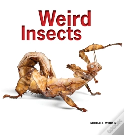 Capa do artigo Weird Insects