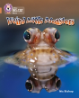 Weird Little Monsters - Preview