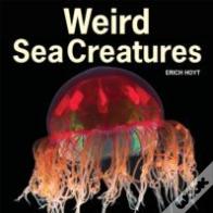 Weird Sea Creatures