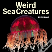 Capa do artigo Weird Sea Creatures