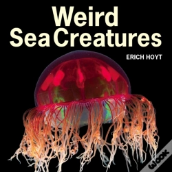 Capa do artigo Weird Sea Creatures