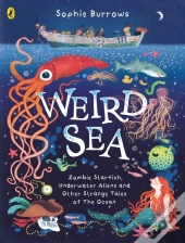 Weird Sea