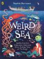 Weird Sea - Preview