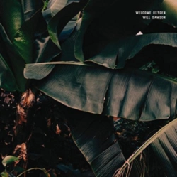Capa do artigo Welcome Oxygen - CD