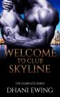 Welcome To Club Skyline - Preview
